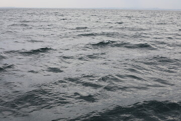 Naklejka na ściany i meble Waves on the Black Sea.