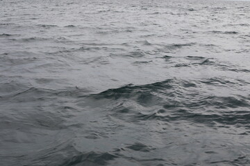 Fototapeta premium Waves in the Black Sea.