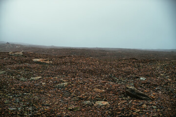 Stone field in dense fog in highlands. Empty stone desert in thick fog. Zero visibility in mountains. Minimalist nature background. Dark atmospheric foggy mountain landscape. Lichens on sharp stones.