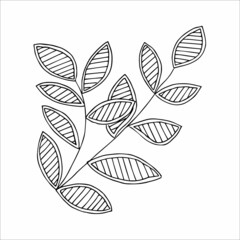 Fantasy whimsical twig with leaves hand drawn doodle element coloring book for kids and adults