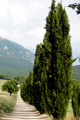 Obraz premium Centro visita del lupo, Popoli (PE), Parco Nazionale della Majella