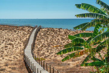 A romantic seascape of dunes, with palms and a wooden walkway, overlooking the sea. Copy space. Portugal Spain.