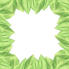 A frame made of leaf. Watercolor botanical illustration included in the collection of wildflowers. Isolated image on a white background. For your design.