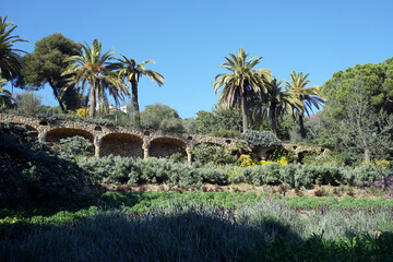 Flora in the Park Guell in Barcelona
