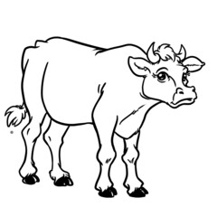 Big bull black and white outline illustration cartoon character animal isolated image