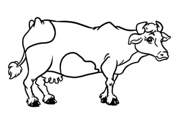 Cow standing profile contour illustration coloring book isolated image