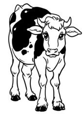 Cheerful little calf character animal stands looking 