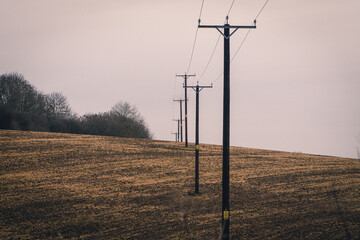 power lines in the field