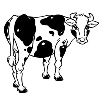 Cow character animal stands turns around looking contour isolated illustration 