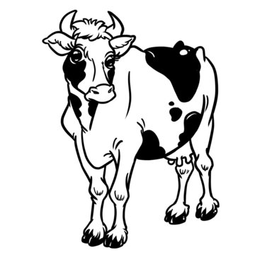 Cow milk contour illustration for coloring stands looking 