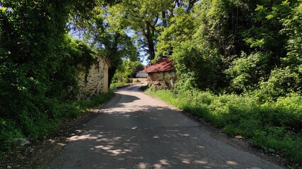 Obraz premium A country road passes between two old abandoned houses overgrown with ivy.