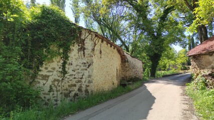 Naklejka premium An old stone house by the road with a forest around and ivy covering it.