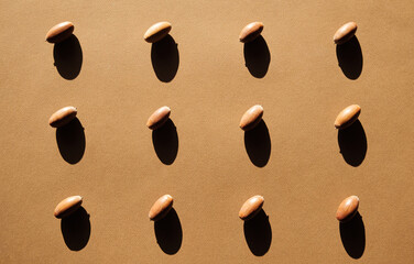 Oak Acorns Brown Paper Background Cast Deep Shadow