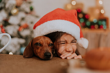 little girl in a Santa hat and a dwarf dachshund want to eat a plate of pastries and a Christmas...