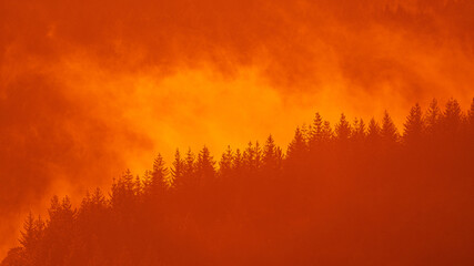 The sunset sets the Black Forest on fire
