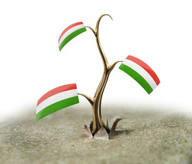 3d sprout with Hungarian flag on white
