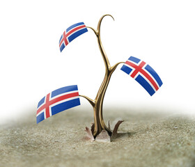 3d sprout with Icelandic flag on white