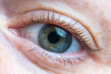 eyelash lamination. macro eyes. beauty and fashion