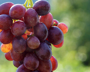 a bunch of red grapes
