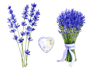 Watercolor elements. Clip art with lavender. Lavender bouquet, lavender twigs, heart.