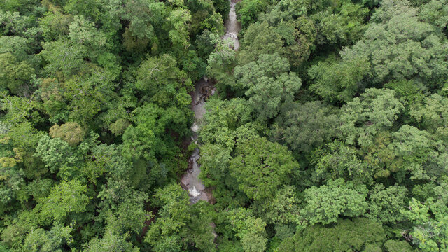 Aerial photograph, Streams and waterfalls in the middle of a tropical forest.