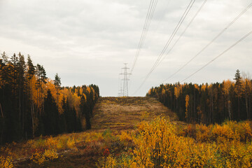 Power line in the forest. Clearing for high-voltage towers © Наталья Фомина