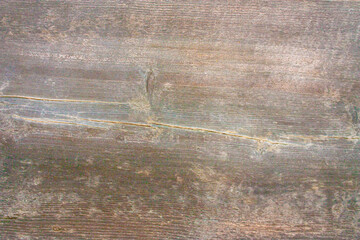 Wooden, gray board with cracks close-up. Grey background with wooden texture.