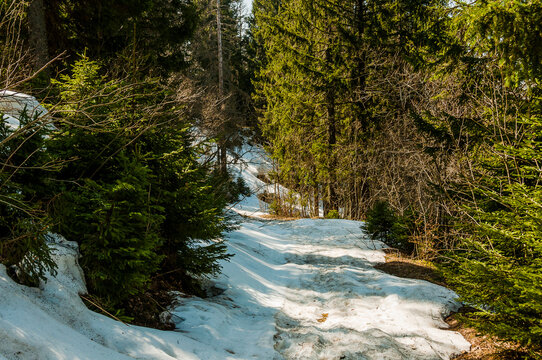 Obergrenchenberg, Court, Hochebene, Grenchenberg, Jura, Juras&uuml;dfuss, Wanderweg, Untergrenchenberg, Solothurn, Alpen, Mittelland, Aare, Fr&uuml;hling, Schweiz