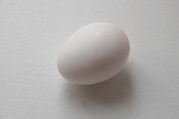 White raw chicken eggs on a white background