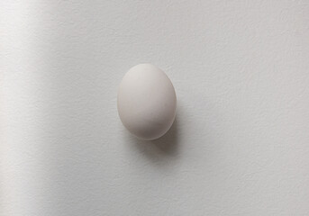 White raw chicken eggs on a white background