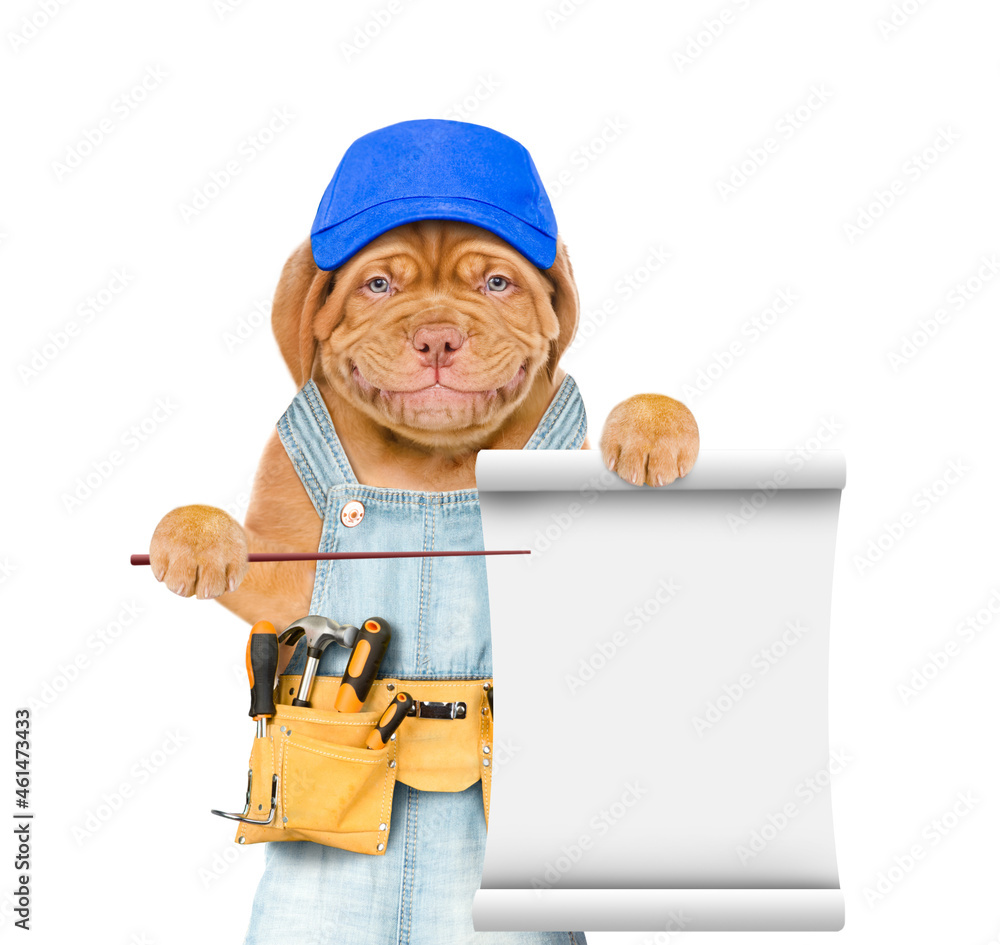 Poster Funny puppy wearing blue cap and  overalls with tool belt points on empty list. Isolated on white background
