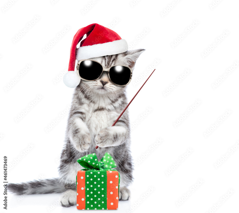 Poster kitten wearing sunglasses and christmas hat sits with gift box and points away on empty space. isola