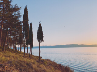 Calm evening at the lake, lake coastline with forest trees