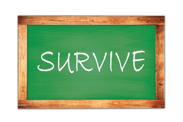 Fototapeta premium SURVIVE text written on green school board.