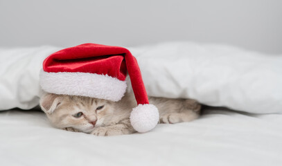 Sleepy kitten wearing red santas hat lies under warm white blanlet on a bed at home