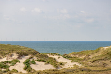 Fototapeta na wymiar Summer landscape, Overview from the dunes or dyke at Dutch north sea coastline with european marram grass (beach grass) along the dyke, Blurred wind turbine farm in the sea, Noord Holland, Netherlands