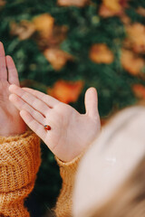 Red ladybug in kids hands on autumn background © Irina Magrelo