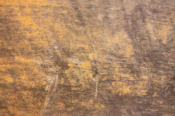 A wooden, yellowed board with tree branches in close-up. Gray background with a wooden, yellowed texture.