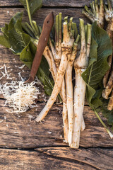 Fresh, dug-out root horseradish with leaves on the pile