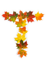 Naklejka na ściany i meble Letter T of colorful autumnal maple leaves on white background. Top view, flat lay