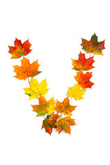Letter V of colorful autumnal maple leaves on white background. Top view, flat lay