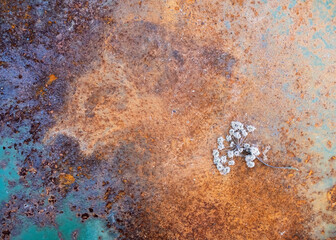 Flower lies on a rusty iron surface with peeling paint. Abstract background. 