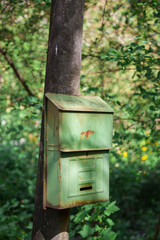 An old rusty mailbox is hanging on a tree.