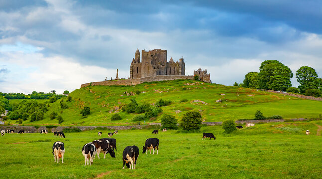 Peaceful Irish landscape, Rock of Cashel castle on background, Ireland