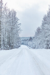 Magical winter landscape. Snow cowered trees. Winter in Finland