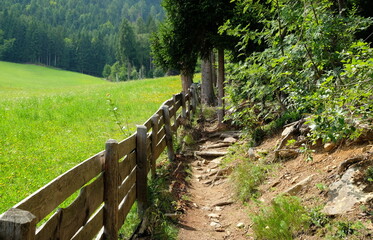 wooden fence between forest and meadow in the mountains