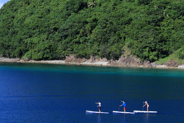 three people paddling SUP stand up paddle boards in the Philippines