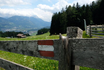 fence with austrian flag near meadow trees