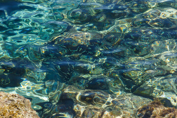 Sea waves on the wild rocky coast. Beautiful seascape. Travel concept. Seascape on the background of the wild rocky coast. Wild beach, azure water and rocks. Mediterranean sea, Cyprus. Postcard view