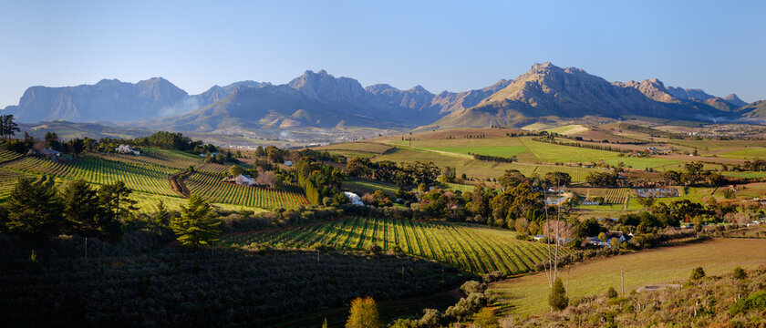 Panoramic view of beautiful vineyards and mountain scenery around Stellenbosch, South Africa.
